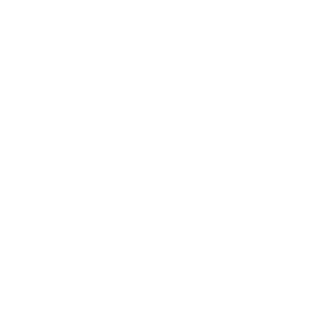 Time for Joy Games-Logo-REVERSE